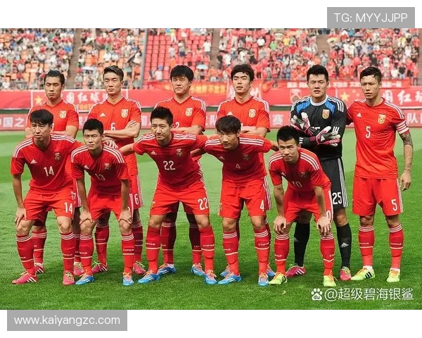 匈牙利国足排名回升，近期表现稳定引发足球界广泛关注