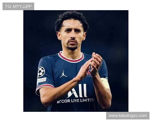 范戴克与马尔基尼奥斯：稳定性与全面性对比分析